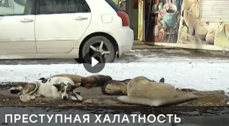 Чрезвычайное происшествие (Эфир 29 марта 2021 года)