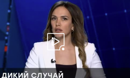 Чрезвычайное происшествие (Эфир 19 апреля 2021 года)