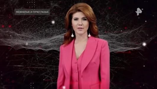 Тайны Чапман. Разрази меня гром (Эфир 30 августа 2021 года)