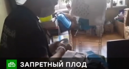 Чрезвычайное происшествие (Эфир 24 августа 2021 года)