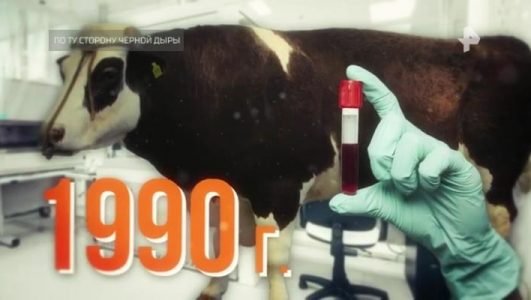 Тайны Чапман. По ту сторону чёрной дыры (Эфир 26 августа 2022 года)