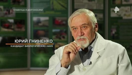 Тайны Чапман. Плавунцы и долгоносики (Эфир 31 августа 2022 года)